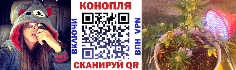 НБОМе Вичуга