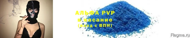крисы Верхний Тагил