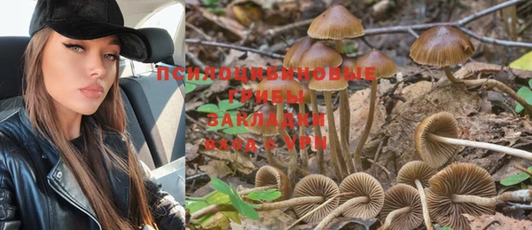 ешки Верея