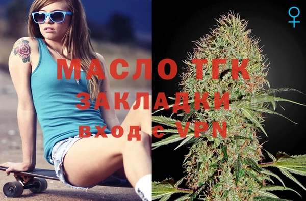 крисы Верхний Тагил