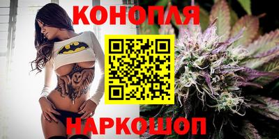 спиды Аргун