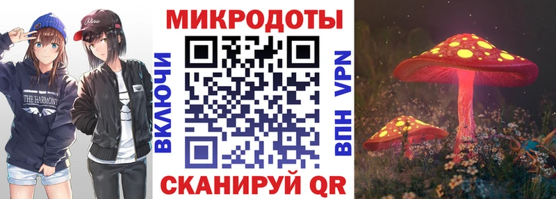 что такое   Вичуга  Галлюциногенные грибы GOLDEN TEACHER 