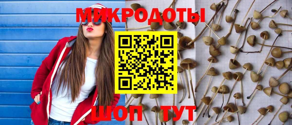 Галлюциногенные грибы Cubensis  Вход с VPN  где продают   Вичуга 