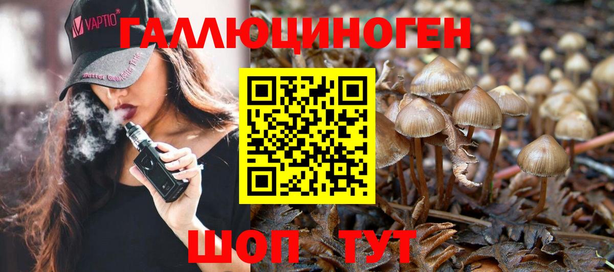Псилоцибиновые грибы Cubensis Вичуга