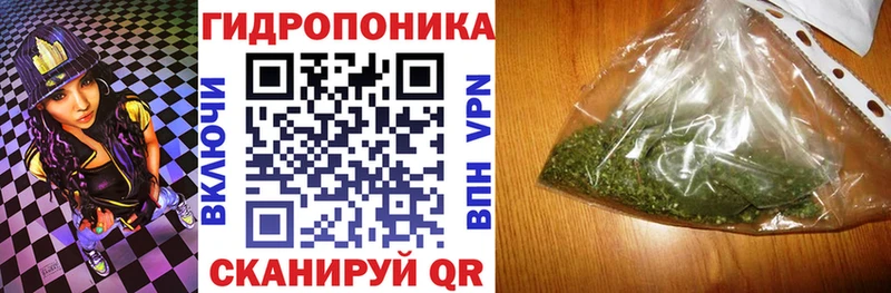 купить наркотики цена  Вичуга  Конопля семена 
